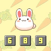 Bunny Math