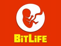 BITLIFE LIFE SIMULATOR