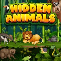 HIDDEN ANIMALS